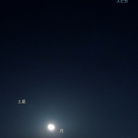 3/2夜 月・土星・スピカ