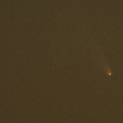 3/12 PANSTARRS彗星(C/2011 L4)