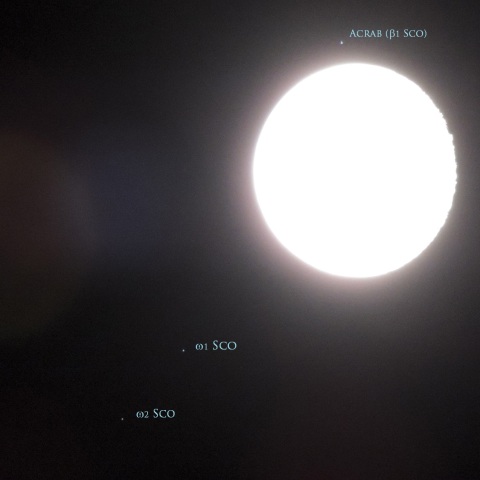 4/28 さそり座β1と月の大接近