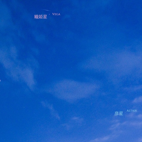 七夕の織姫星をかすめる流れ星か