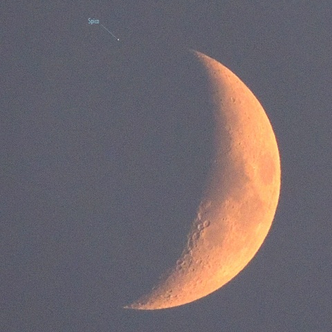 8/12 スピカ食 (潜入前)