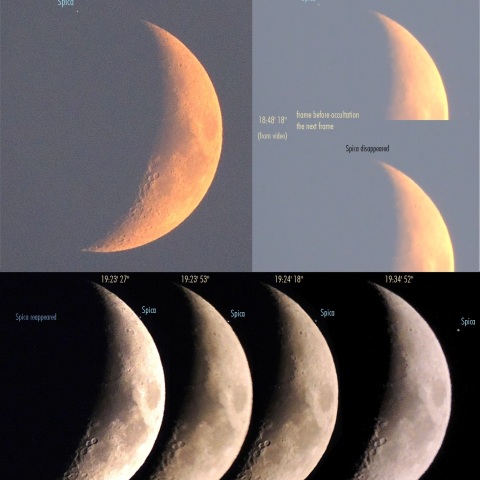 8/12 スピカ食　潜入～出現