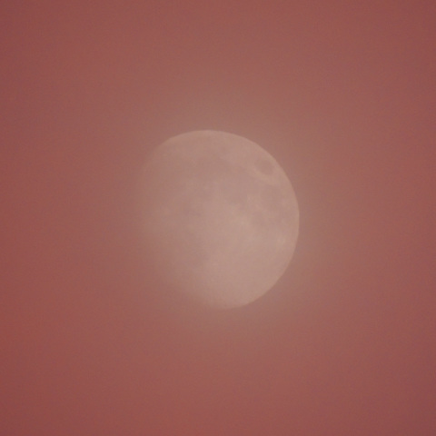 赤い薄雲をまとう月