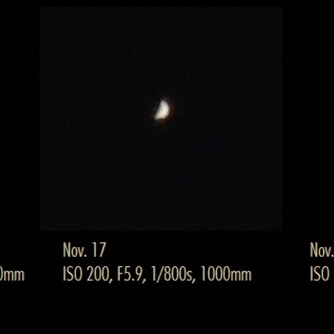 1ヶ月間の金星の満ち欠け