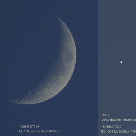 2つの三日月（日没前の最大光度の金星と、同じ形の月を同じスケールで)