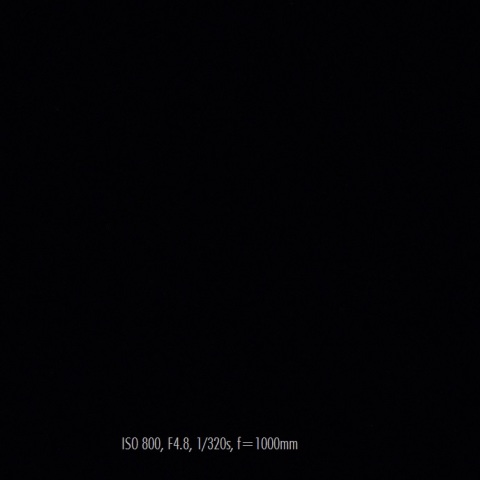 1/29 月と金星 2つの逆三日月