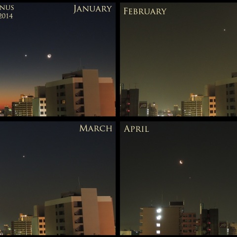 今年4回の明け方の月・金星