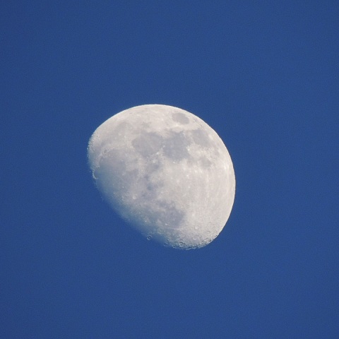 5/10 青い空の月