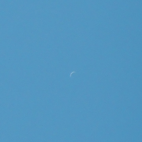 内合翌日の白昼の金星