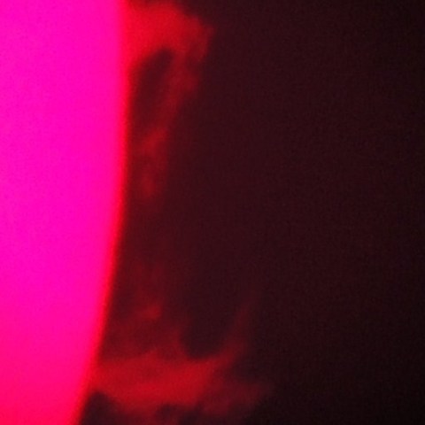 7/28　太陽プロミネンス