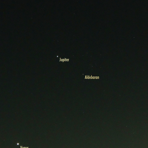 8/1未明の東の空 (プレアデス・木星・金星・アルデバラン)