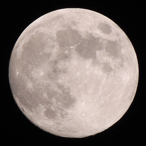 月齢13.3、満月前夜の月