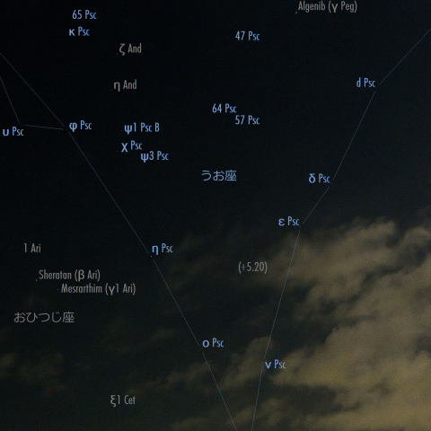 東空に昇るうお座