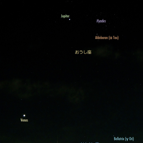 金星・木星・ヒヤデスと、真夏のオリオン座