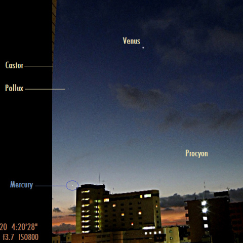 8/20 朝焼けの中の金星と水星