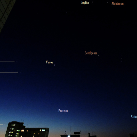 8/22明け方東の空、三惑星と冬の大三角