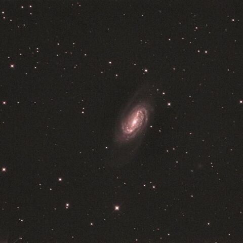NGC2903