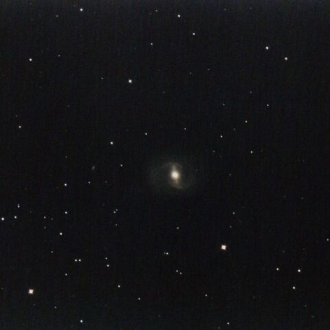 M91