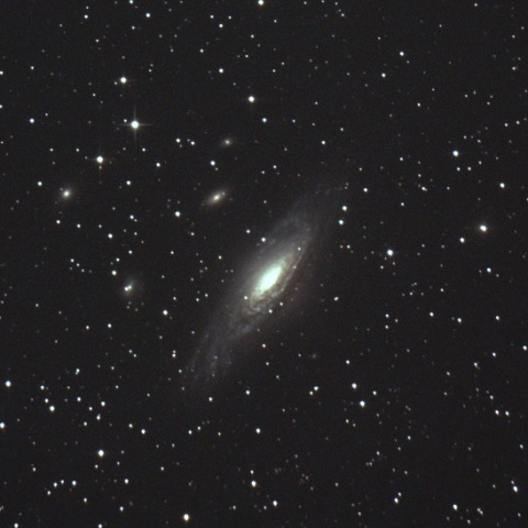 NGC7331