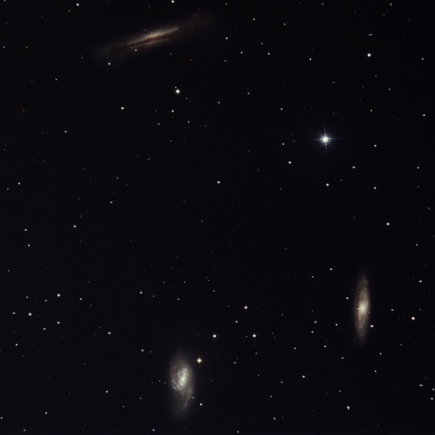 獅子座のトリオ