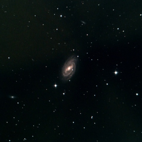 M109