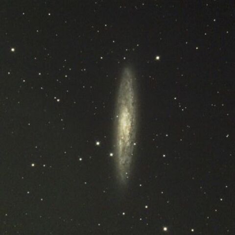 NGC253