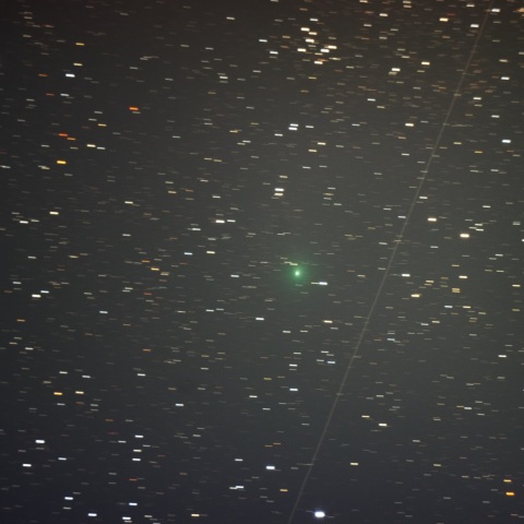 12P/Pons-Brooks　1/16