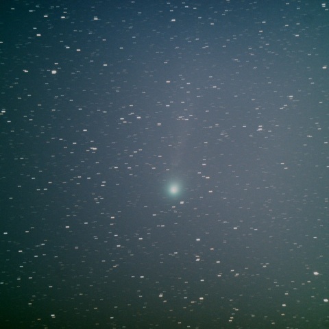 12P/Pons-Brooks　2/16