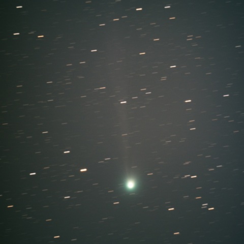 12P/Pons-Brooks　2/26