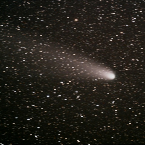 C/2023 A3（紫金山・アトラス彗星）　11/4