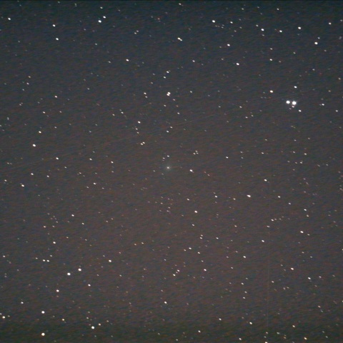 C/2025 A6（Lemmon）8/29