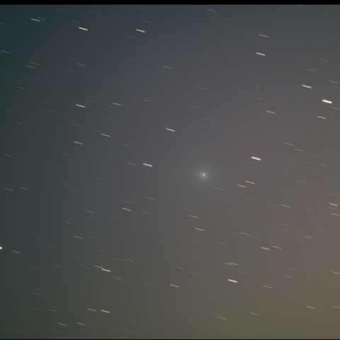 C/2025 R2（SWAN）　11/3