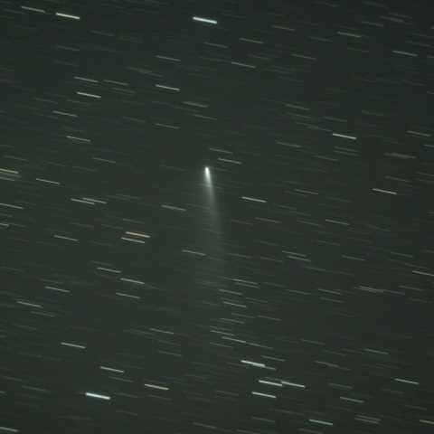 C/2025 K1（ATLAS）　11/29