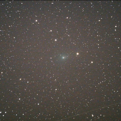 24P（Schaumasse）　03/20