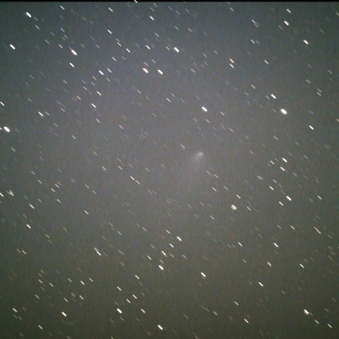 C/2024 E1（Wierzchos）　03/21