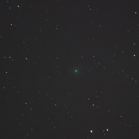 ボレリ彗星（19P）