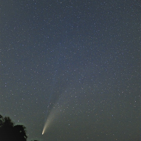 ネオワイズ彗星　C2020F3