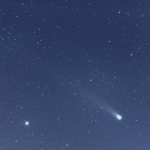 さいたま市見沼区 12月15日の　ラブジョイ彗星