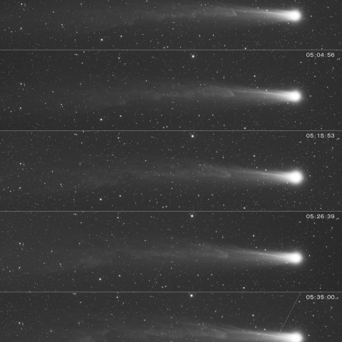 12/5未明　ラブジョイ彗星の尾の変化