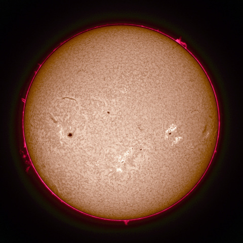 Hαフィルタによる太陽画像
