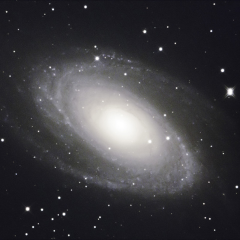M81
