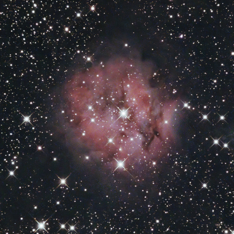 はくちょう座の散光星雲 IC5146, まゆ星雲