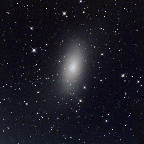 M31の伴銀河 M110
