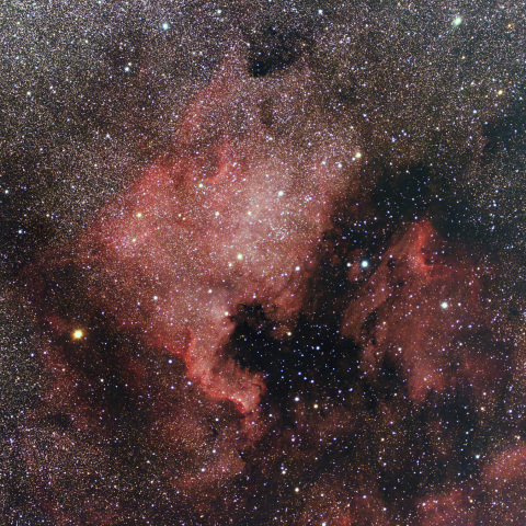 NGC7000