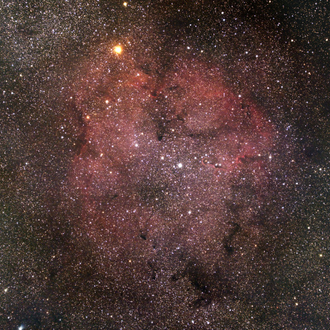 IC1396