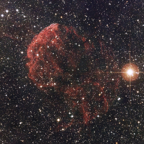 IC443 くらげ星雲