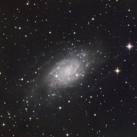 渦巻銀河 NGC2403