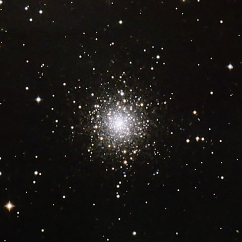 M79