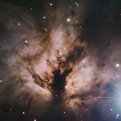 NGC2024
