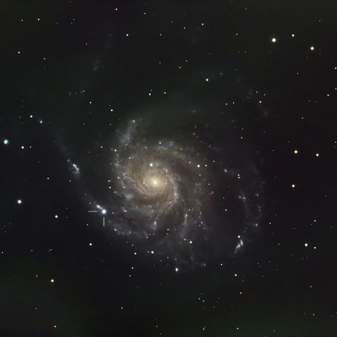 M101と超新星SN2023ixf